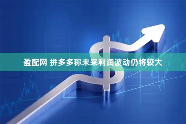 盈配网 拼多多称未来利润波动仍将较大