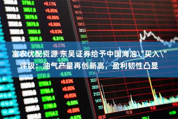 富农优配资源 东吴证券给予中国海油＂买入＂评级：油气产量再创新高，盈利韧性凸显