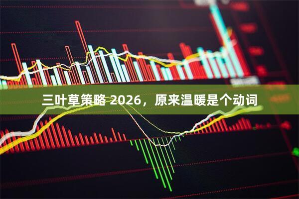 三叶草策略 2026，原来温暖是个动词
